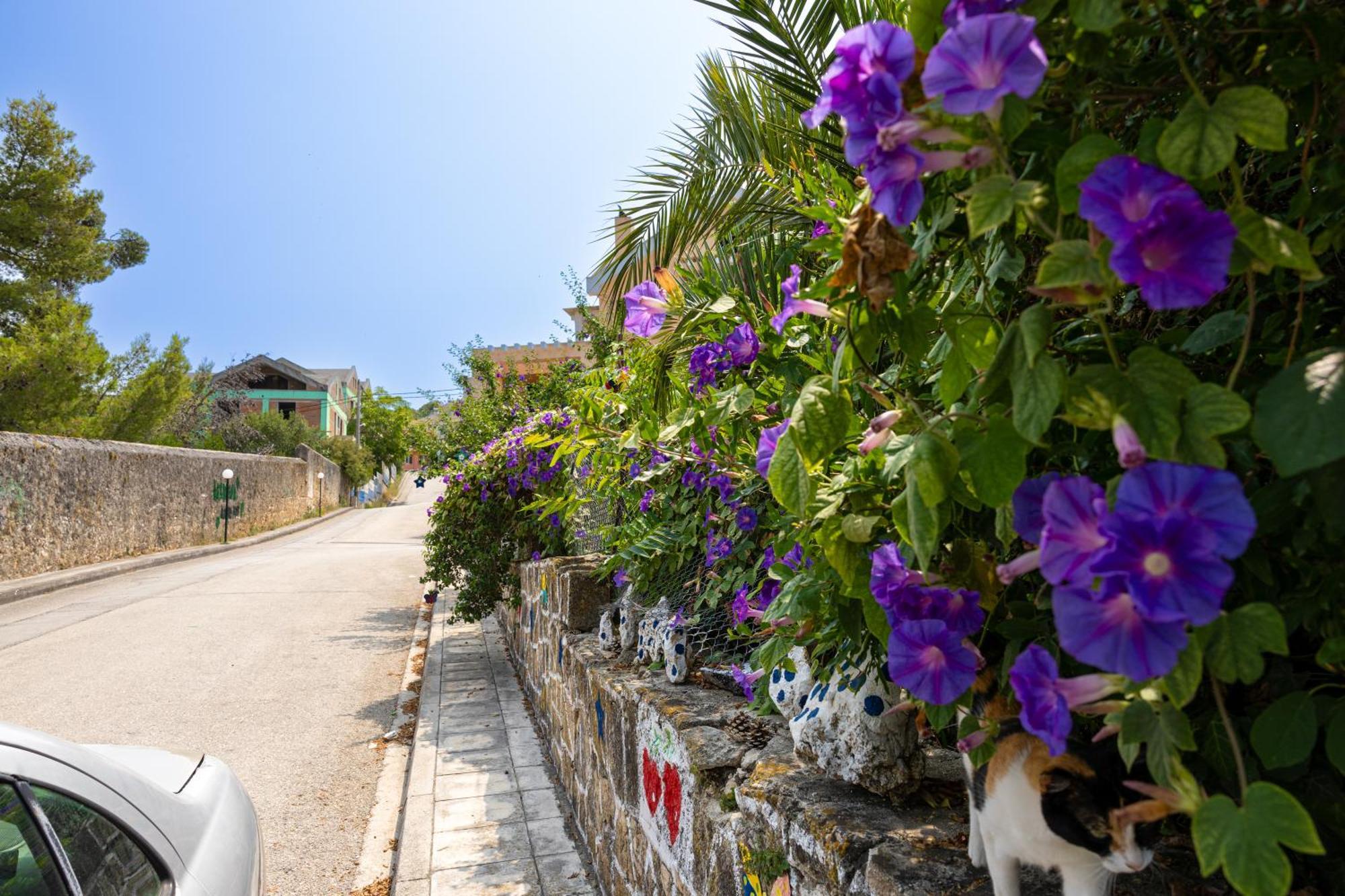 Domus City Apartment Argostoli  Exterior photo
